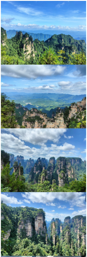 暑假“公费”旅游