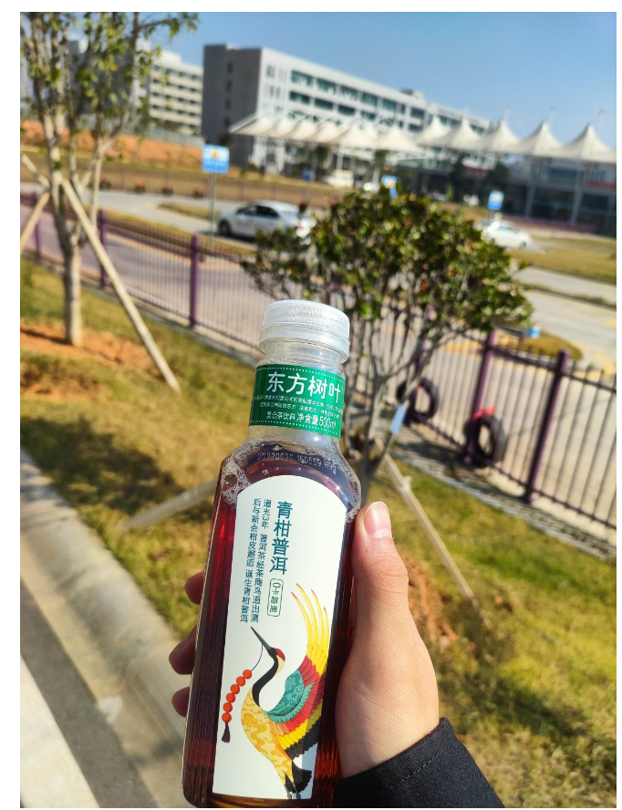 十一月二日简述